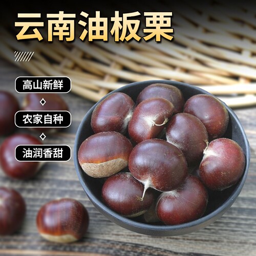 板栗生新鲜云南油板栗2026年新货
