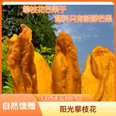 攀大丽250g手工无添加小孩零食攀枝花凯特原味芒果干办公茶点手伴