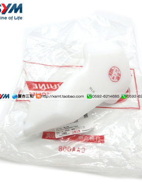SYM 厦杏 三阳机车 MAXSYM TL500 副水箱