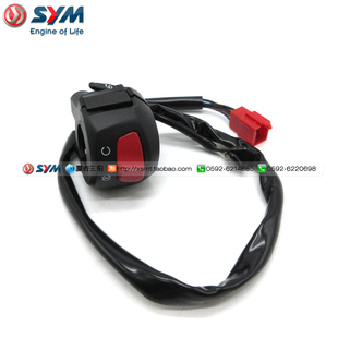 SYM 厦杏 三阳 MAX 21款 400 22款阿尔法巡弋300 右把手开关总成