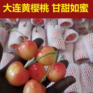大连大樱桃黄金车厘子佳红雷尼尔大将军黄樱桃黄车脆甜多汁发顺丰
