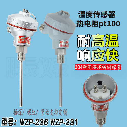 【源头工厂】进口芯pt100热电阻