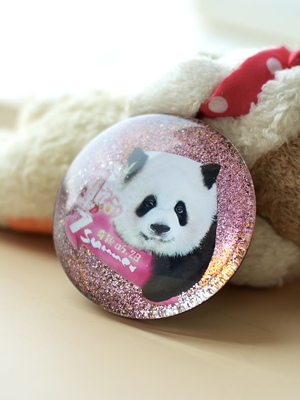 原创奇三妹周边手工滴胶水晶玻璃冰箱贴 自制熊猫文创礼品重庆