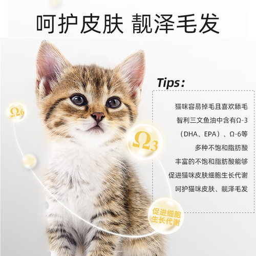 麦富迪宠物猫粮三文鱼油成猫粮1.