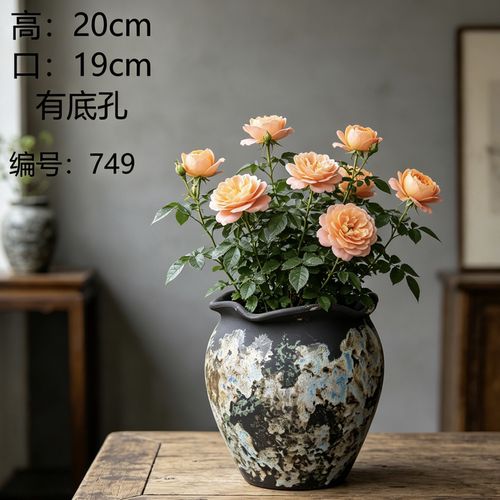 手工粗陶紫砂透气异形多肉花盆