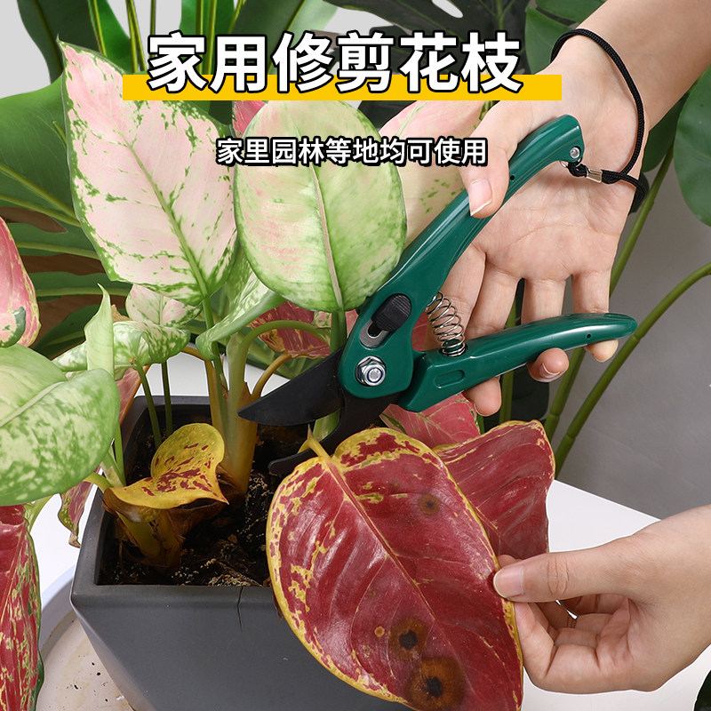 日本ECHO园艺剪刀园林修枝剪果树树枝花艺家用盆景花卉剪刀带锁扣