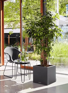Lechuza德国进口花盆自动吸水绿植客厅大口径仿水泥家用canto系列