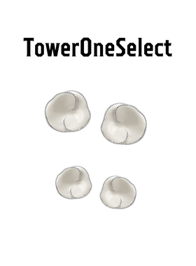 TowerOneSelect官方店ZHAO虎刺梅白珐琅耳钉
