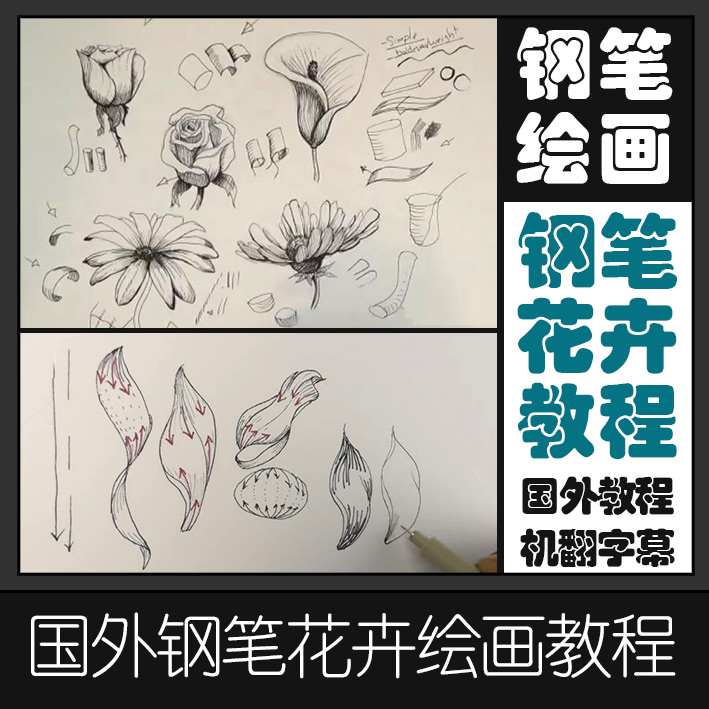 SKA7钢笔画教程花卉绘画视频钢笔画大神讲解如何画钢笔画基础教程