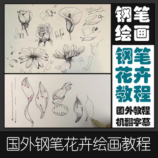 SKA7钢笔画教程花卉绘画视频钢笔画大神讲解如何画钢笔画基础教程