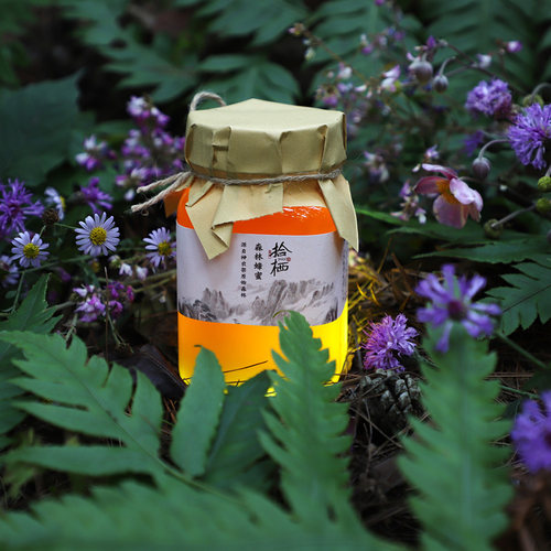 拾栖森林蜂蜜神农架原蜜450克
