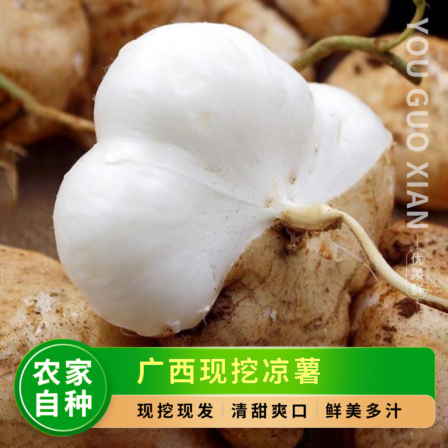 广西现挖新鲜凉薯，农家即食水果