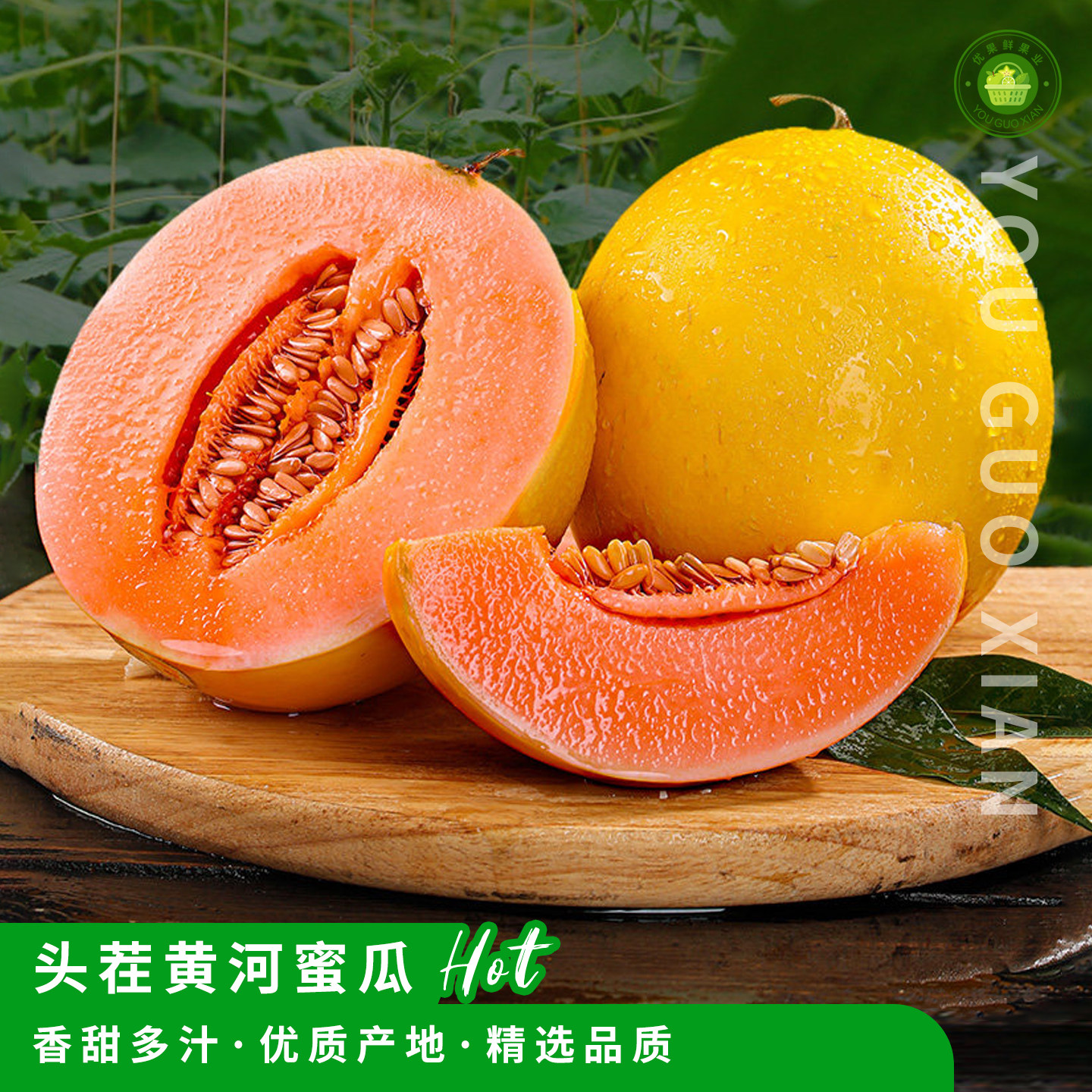 头茬黄河蜜瓜,新鲜沙漠甜瓜!