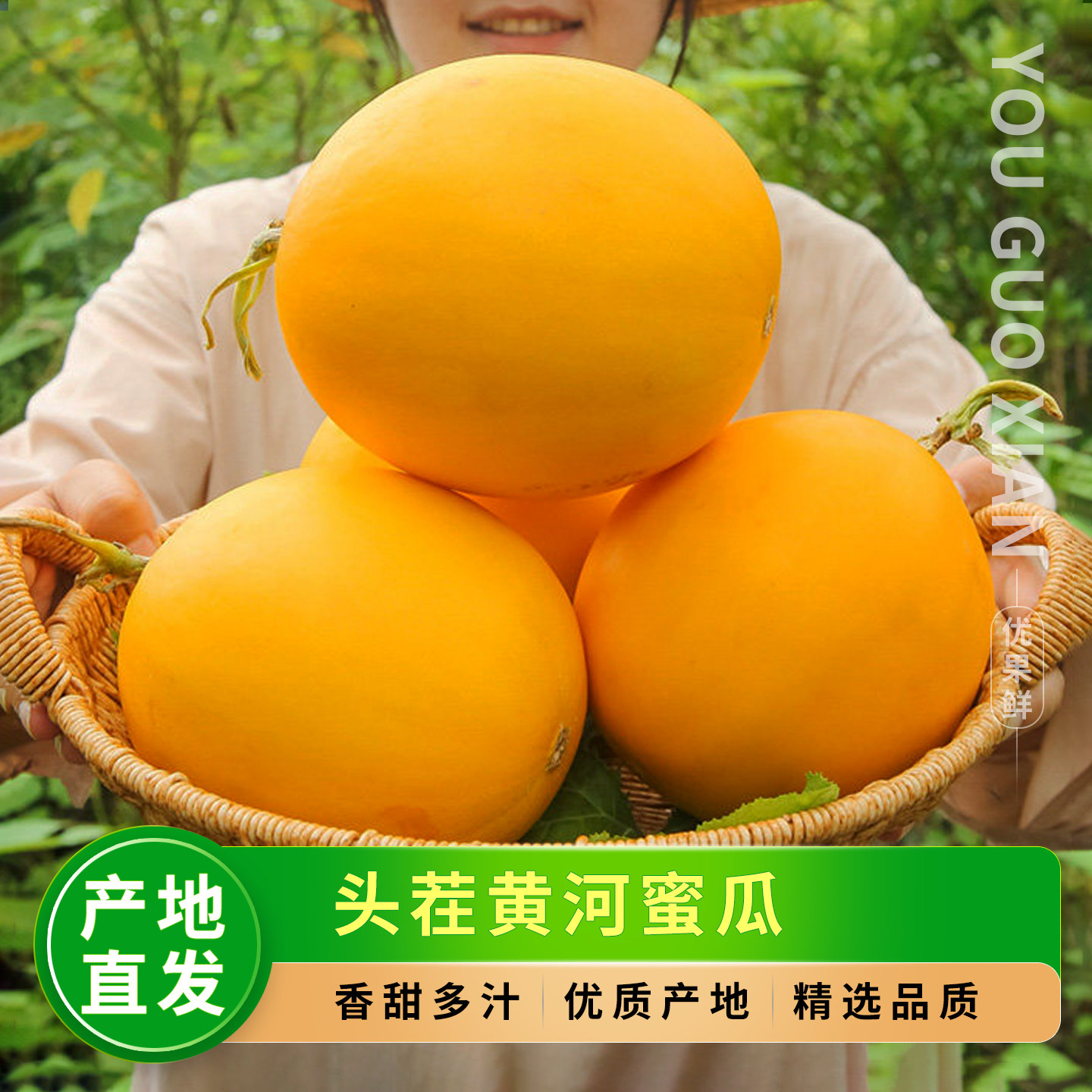 头茬黄河蜜瓜,新鲜沙漠甜瓜!