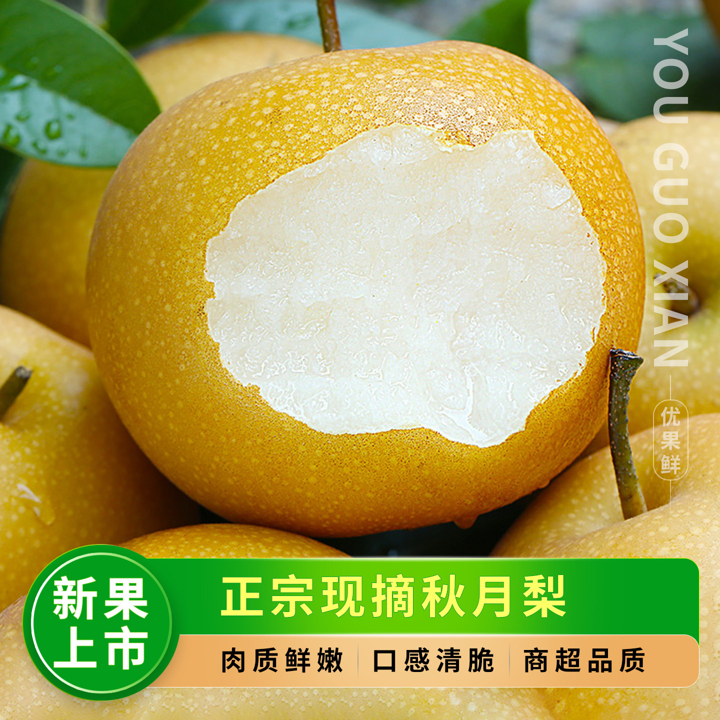 正宗现摘秋月梨,口感清脆包邮!