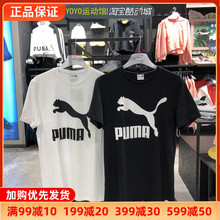 PUMA彪马T恤男短袖运动服跑步透气圆领宽松半袖正品上衣潮579405