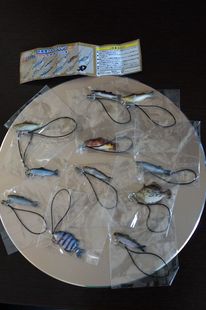 日版 鱼屋食材鱼类大全套 带隐藏 挂件手办模型公仔摆件景品现货