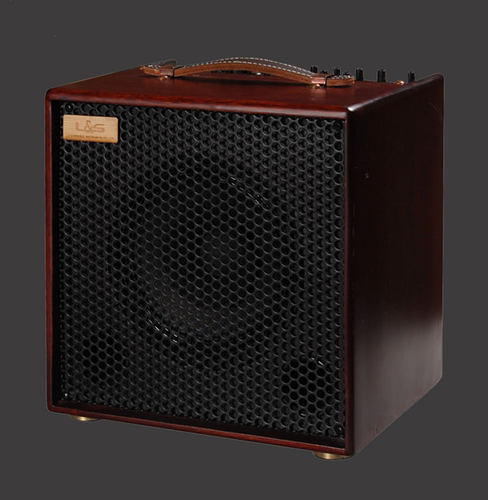 丽声 LSM Free Man 100 II 木吉他音箱