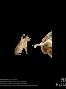 RETLPER镂空车贴 拒绝接触的猫咪 搞笑创世纪 汽摩防水平面贴纸