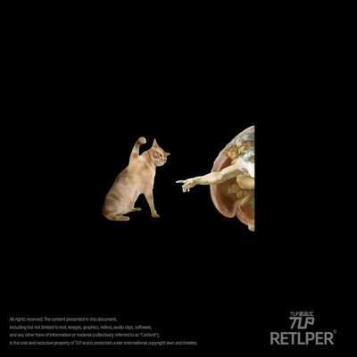 RETLPER镂空车贴 拒绝接触的猫咪 搞笑创世纪 汽摩防水平面贴纸