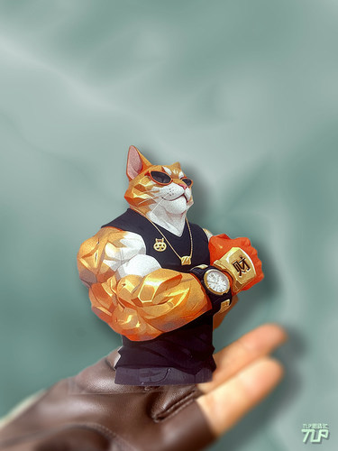 招财大猫劫财贴纸健身健壮猫咪