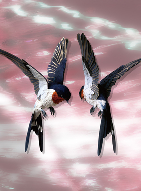 TLP反光车贴  心情切片系列 飞鸟雀类燕子Swallow剪尾 平面贴纸