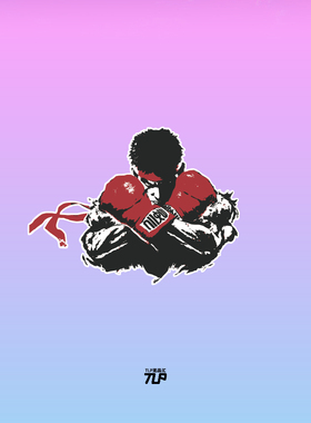 TLP反光车贴 街头霸王SF街霸小白隆RYU街机游戏机箱行李箱贴纸