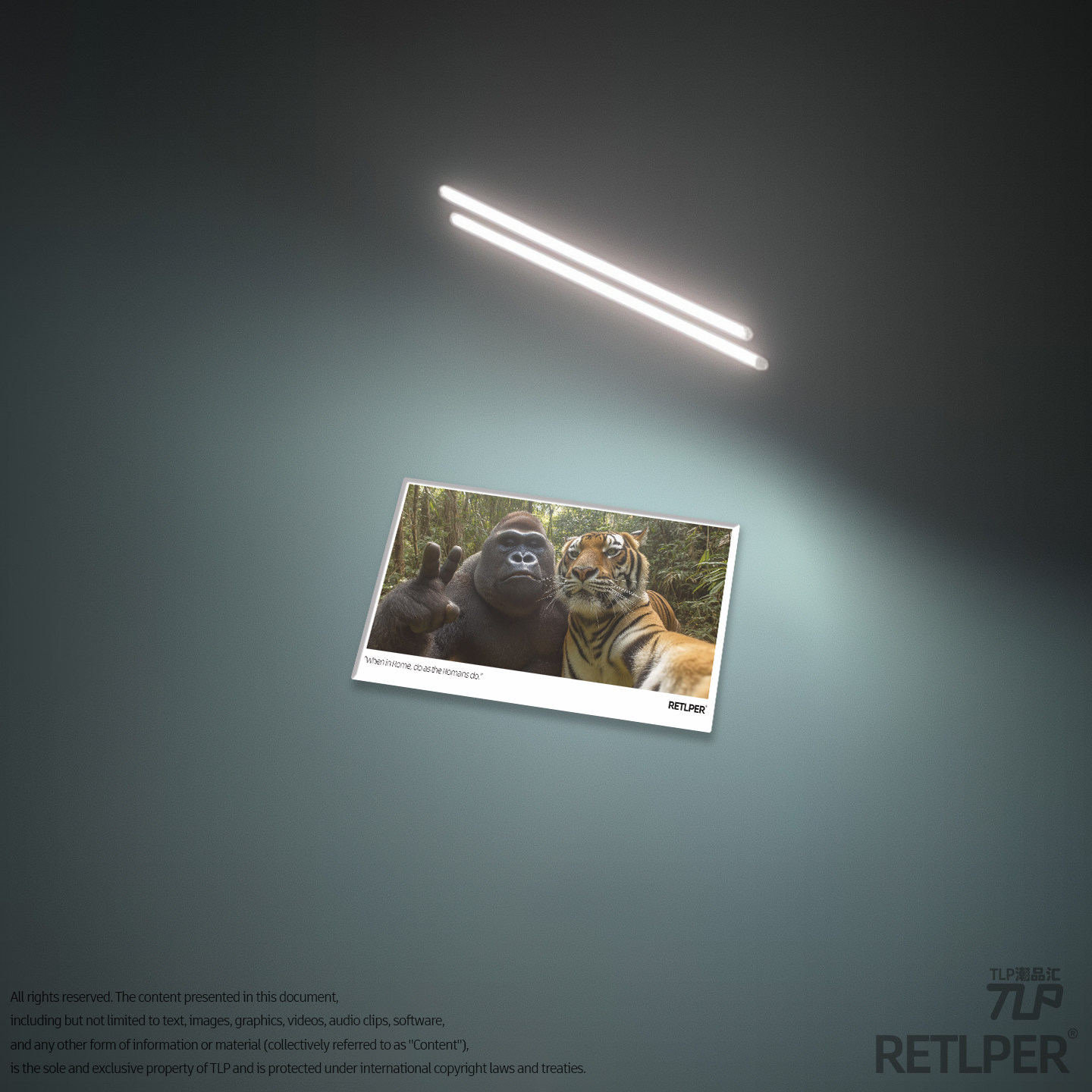 RETLPER磁吸硬牌 原创金刚虎王自拍合照 拍立得风格 冰箱装饰品