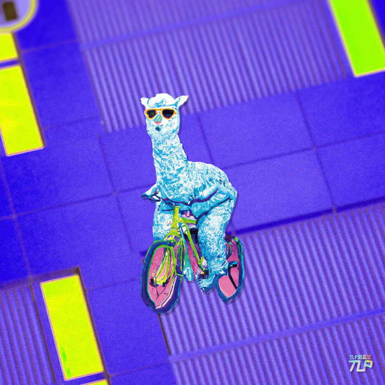 tlp反光贴  戴墨镜 骑单车 的草泥马羊驼 平板涂鸦奇怪的贴纸