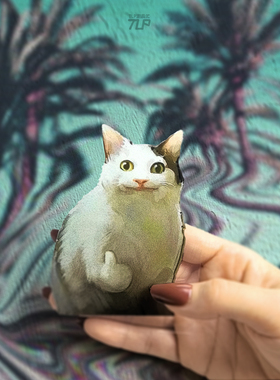 TLP反光车贴 憨猫咪 憋笑点赞 可爱宠物 汽摩多用防水平面贴纸