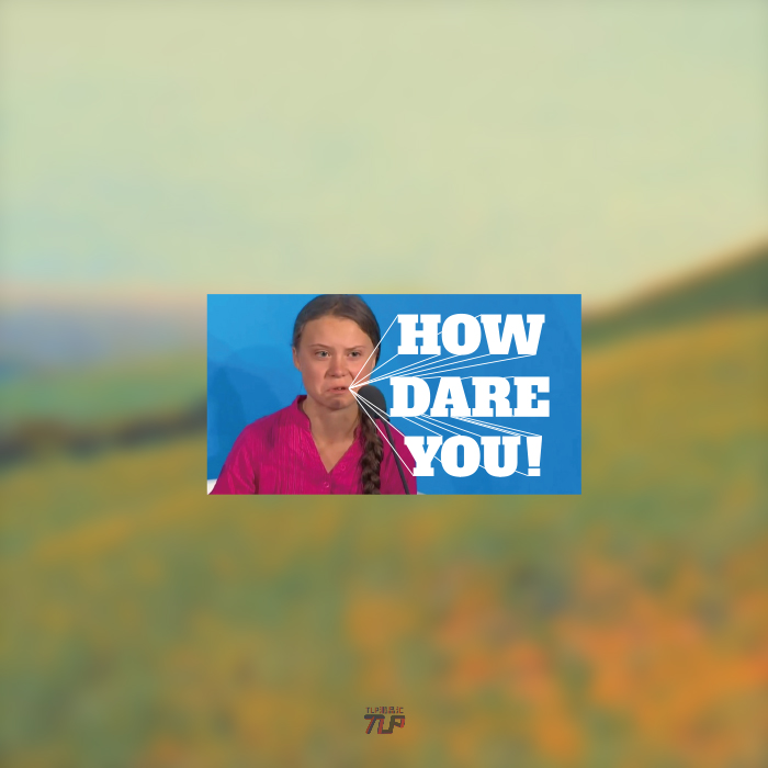 TLP反光车贴 环保小将桑伯格公主howdareyou表情包防水二次元贴纸