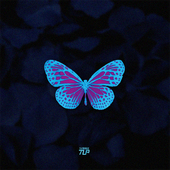 TLP反光贴 头盔防水贴纸 平板平面遮盖遮痕 彩色蓝色蝴蝶 立体感