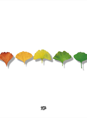TLP反光贴纸 心情切片系列落叶银杏枫叶扇形植物清新涂鸦平面贴纸
