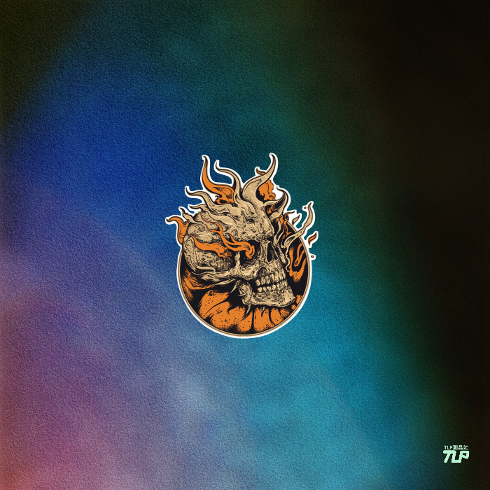 tlp反光车贴火焰骷髅油箱盖贴