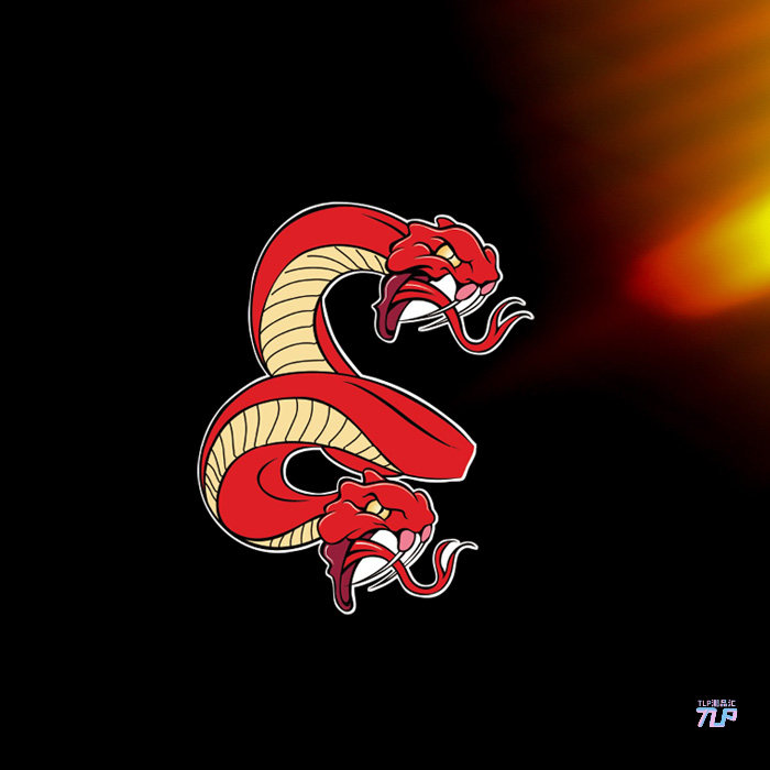 tlp反光车贴 双头蛇毒蛇眼镜蛇暴走族机车摩托哈雷俱乐部笔记本贴