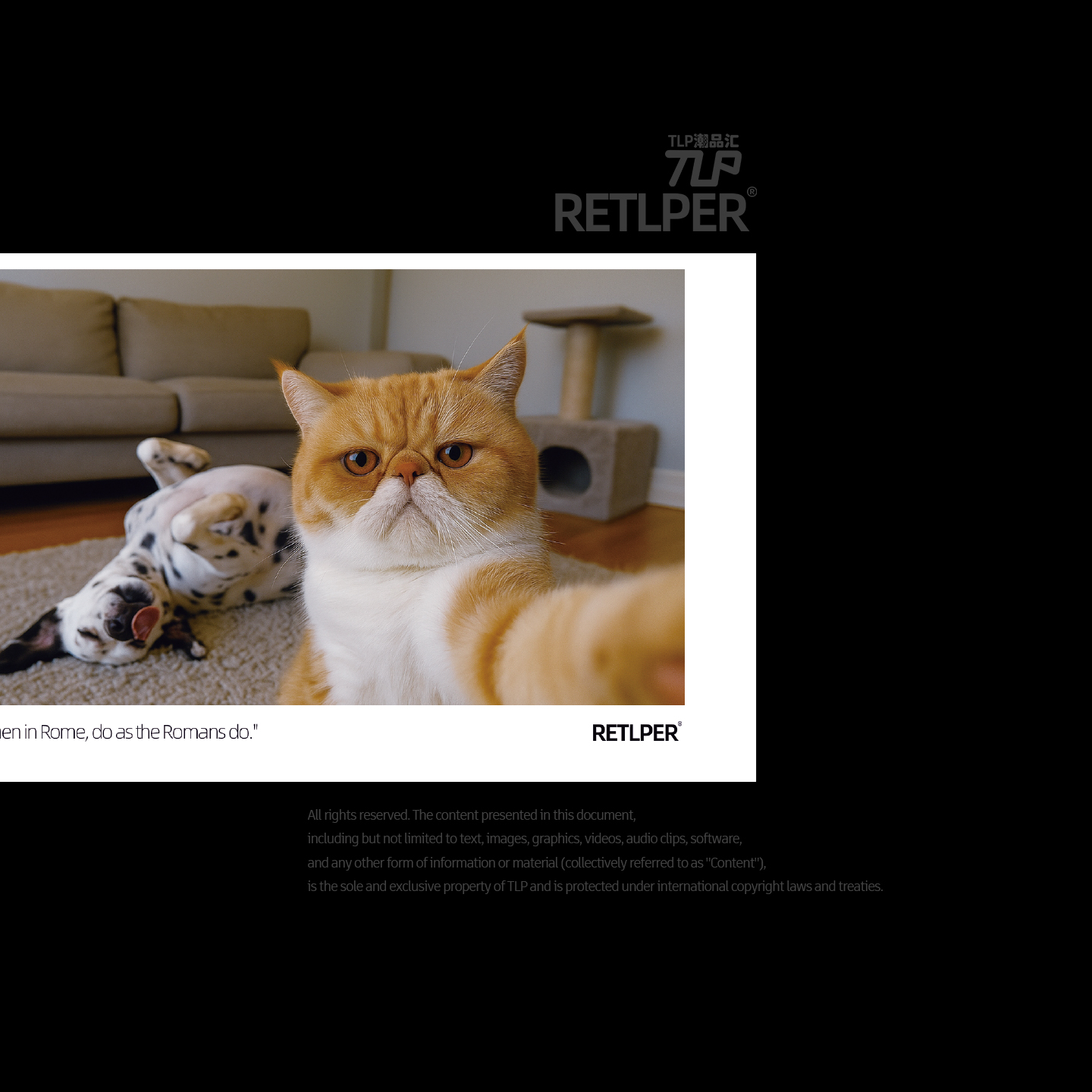 RETLPER反光车贴 原创 猫咪和狗狗自拍 入乡随俗拍立得风平面贴纸