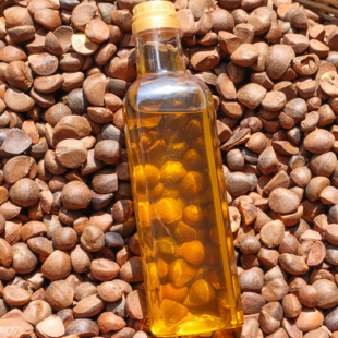 【2025新茶油】正宗农家冷榨茶油纯正野山茶油老树茶油250ml