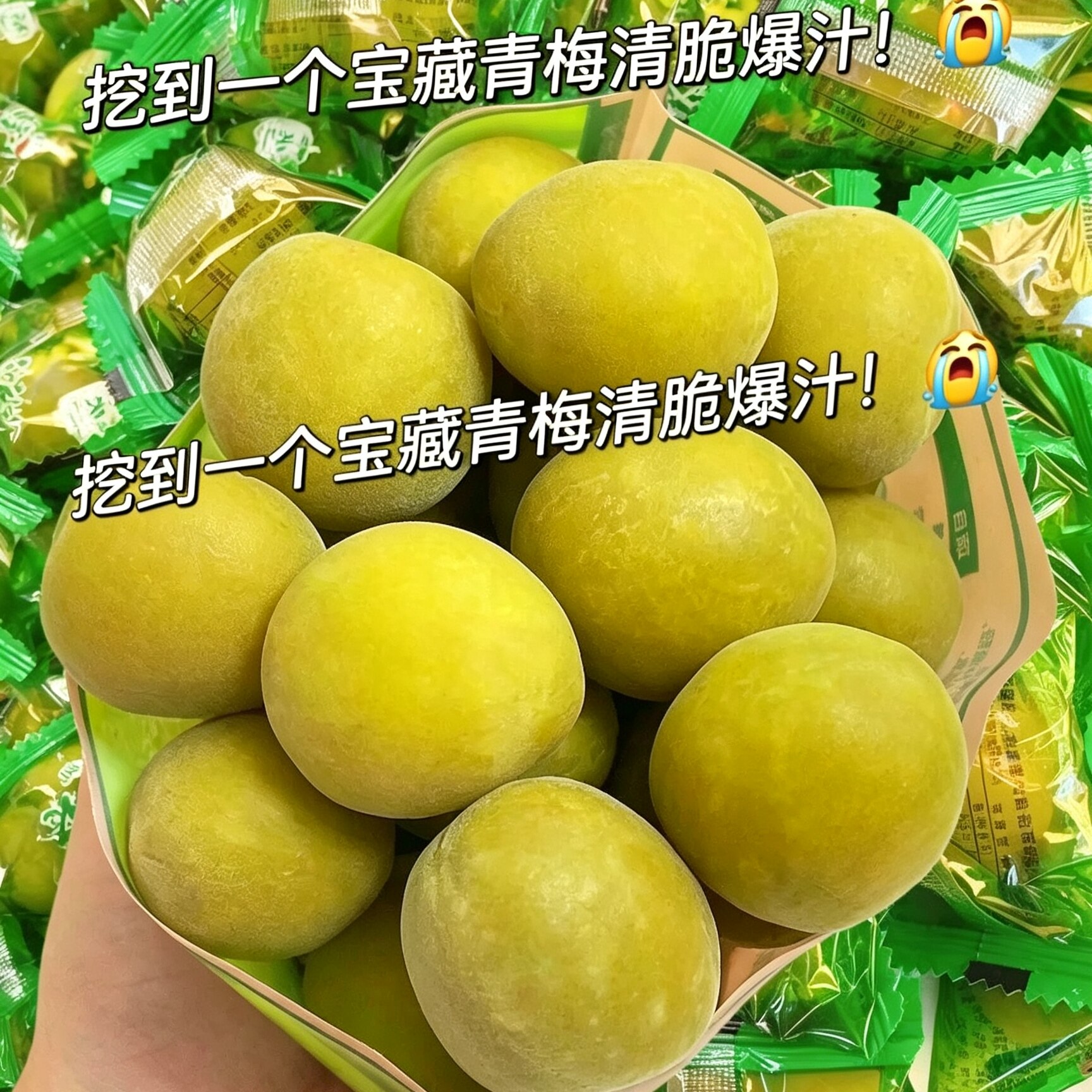 福建特产青口梅脆梅青梅500g图片
