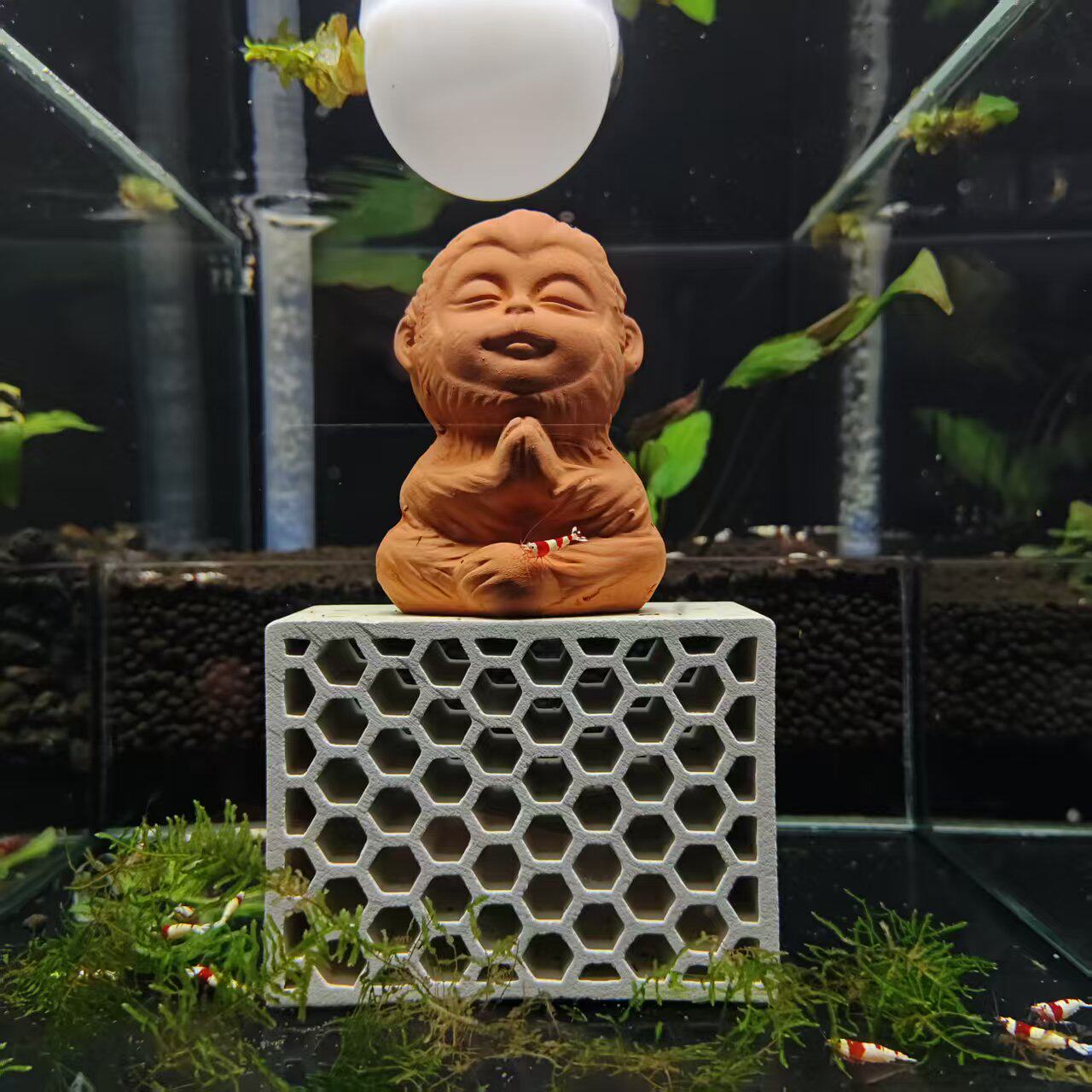 天然陶瓷蜂窝米虾苏虾水晶虾躲避多孔砖幼虾躲避屋繁殖观赏虾虾窝