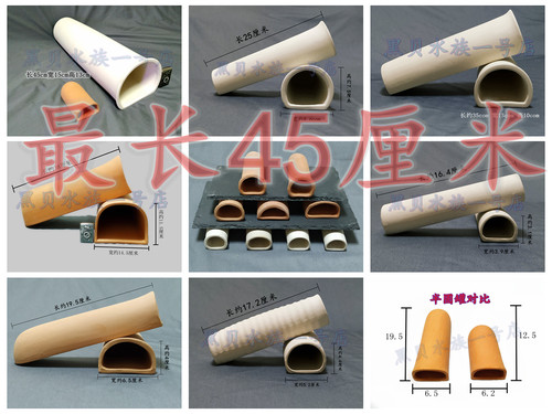 坦克繁殖罐黑白双星异形鱼躲避