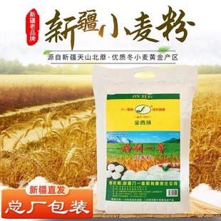 新疆直发金西域特一面粉5kg家用多用途馒头中高筋饺子拉面小麦粉