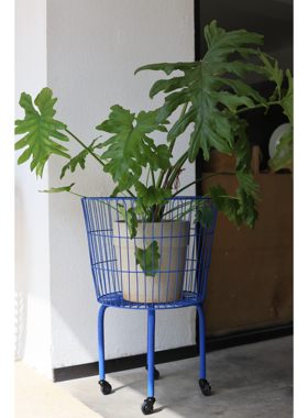 嘻物所电光蓝移动花架