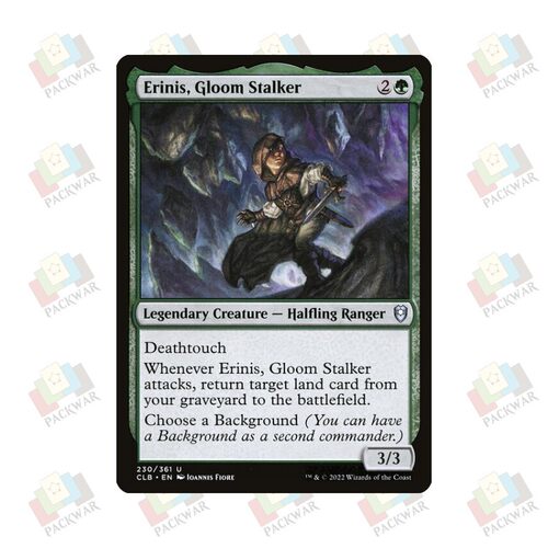 万智牌 幽域追踪者艾琳尼斯 Erinis, Gloom Stalker 银 绿色