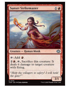 牌客窝 万智牌 余晖耀击师 Sunset Strikemaster 银 红 闪