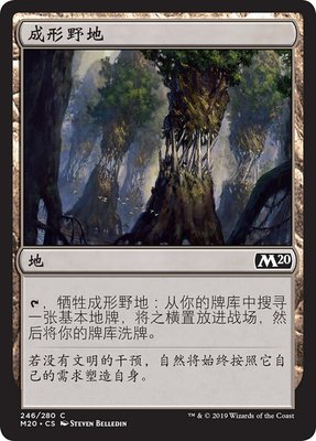 牌客窝 万智牌  成形野地  Evolving Wilds 铁 地