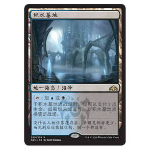 万智牌 金 积水墓地 Grave 地 Watery 牌客窝