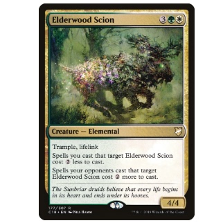 万智牌 牌客窝  长老木后裔  Elderwood Scion  金 多色 英文