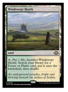 牌客窝 万智牌   风袭荒地 Windswept Heath  金 地