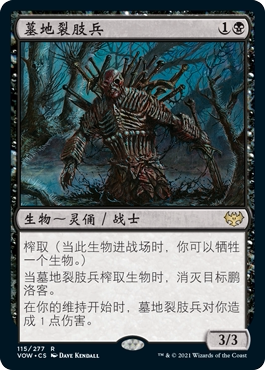 牌客窝  万智牌 墓地裂肢兵 Graf Reaver  金 黑 闪