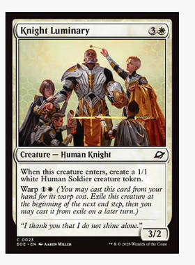 牌客窝 万智牌 光辉骑士 Knight Luminary 铁 白 闪